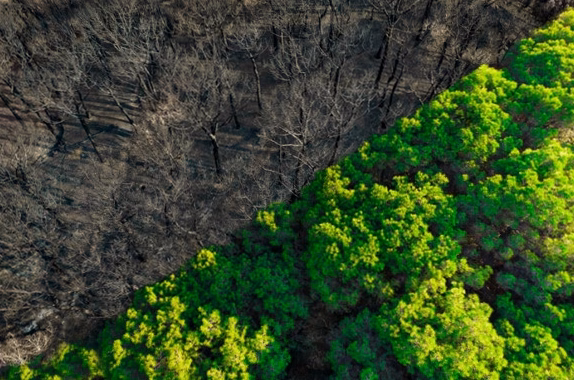 Comment accéder au Grand-Cratère de la Soufrière en 2026