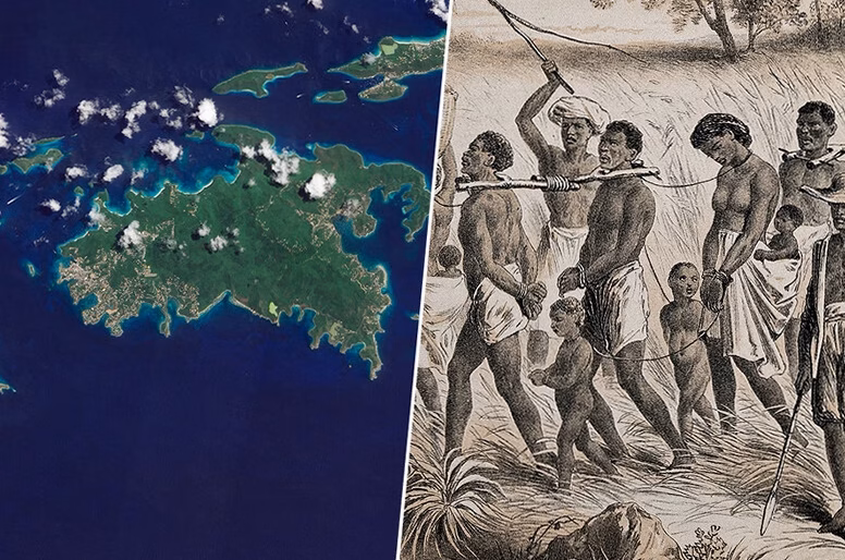 Ernest Pépin en 2026 : 5 poèmes essentiels sur la nature des Antilles